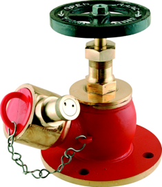 Landing Valves